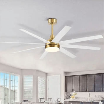 Ceiling Fans